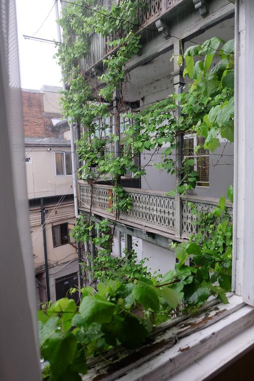 Guest House Tabukashvili 31 Tbilisi Eksteriør billede